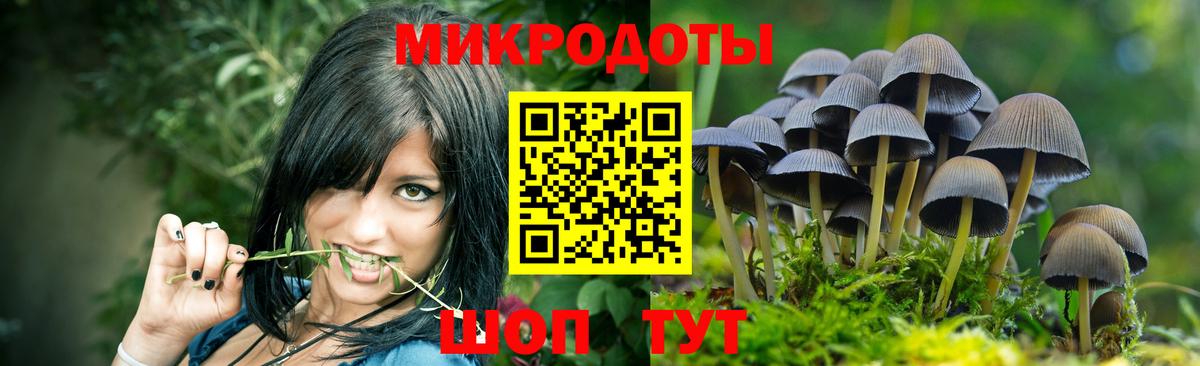 Галлюциногенные грибы MAGIC MUSHROOMS  Вход с VPN  Сорочинск 